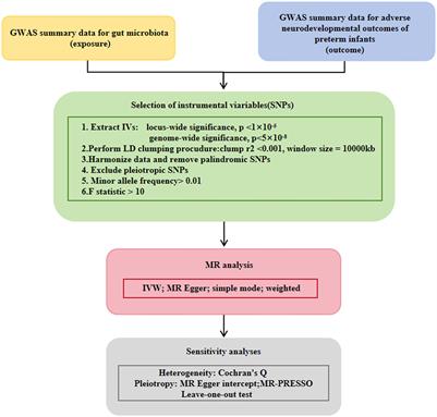 Associations between gut microbiota and adverse neurodevelopmental outcomes in preterm infants: a two-sample Mendelian randomization study